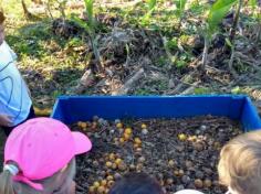 1º ano E trabalhando a união entre a natureza e o ser humano