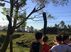 4º A em aula passeio no Espaço Verde