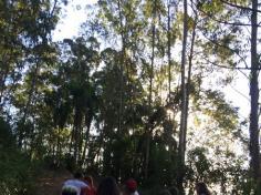 4º A em aula passeio no Espaço Verde