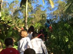 4º A em aula passeio no Espaço Verde