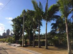 4º A em aula passeio no Espaço Verde