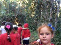 4º A em aula passeio no Espaço Verde