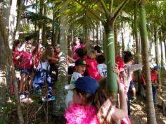 Grupo Galera de Ouro visita o Espaço Verde