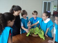 4º ano C aprende e planta no Espaço Verde