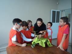 4º ano C aprende e planta no Espaço Verde