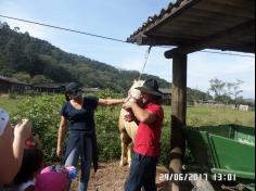 Encerramento do semestre com as famílias do Grupo Felinos