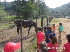 Encerramento do semestre com as famílias do Grupo Felinos