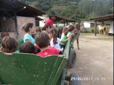 Encerramento do semestre com as famílias do Grupo Felinos