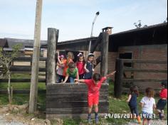 Encerramento do semestre com as famílias do Grupo Felinos