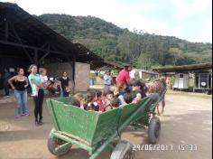 Encerramento do semestre com as famílias do Grupo Felinos