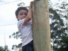 Encerramento do semestre com as famílias do Grupo Felinos