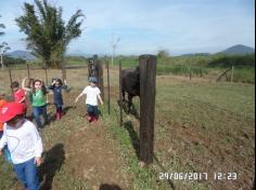 Encerramento do semestre com as famílias do Grupo Felinos