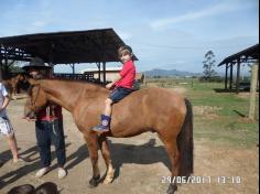 Encerramento do semestre com as famílias do Grupo Felinos