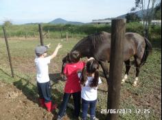 Encerramento do semestre com as famílias do Grupo Felinos