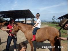 Encerramento do semestre com as famílias do Grupo Felinos