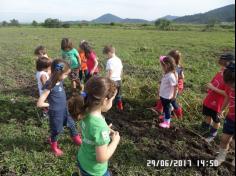 Encerramento do semestre com as famílias do Grupo Felinos