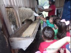 Encerramento do semestre com as famílias do Grupo Felinos