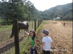 Encerramento do semestre com as famílias do Grupo Felinos