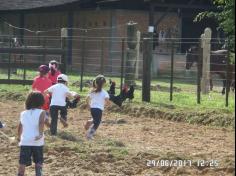 Encerramento do semestre com as famílias do Grupo Felinos