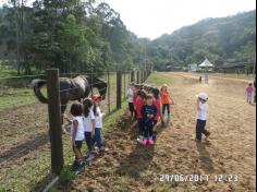 Encerramento do semestre com as famílias do Grupo Felinos