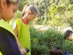 Ajude o Meio Ambiente – Plante Árvores