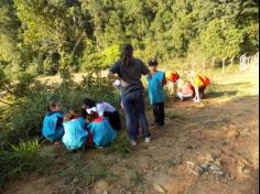 Ajude o Meio Ambiente – Plante Árvores