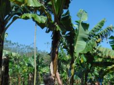 Grupo Planeta visita BANALVES aviação agrícola