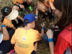 Grupo Pequenos Cientistas – 1º ano D – aprende e se diverte no Espaço Verde