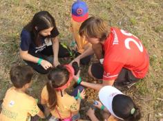 Grupo Pequenos Cientistas – 1º ano D – aprende e se diverte no Espaço Verde