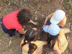 Grupo Pequenos Cientistas – 1º ano D – aprende e se diverte no Espaço Verde