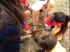 Grupo Pequenos Cientistas – 1º ano D – aprende e se diverte no Espaço Verde