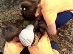 Grupo Pequenos Cientistas – 1º ano D – aprende e se diverte no Espaço Verde