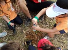 Grupo Pequenos Cientistas – 1º ano D – aprende e se diverte no Espaço Verde