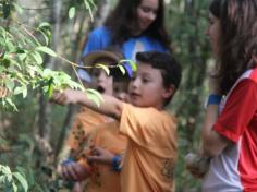 Grupo Pequenos Cientistas – 1º ano D – aprende e se diverte no Espaço Verde