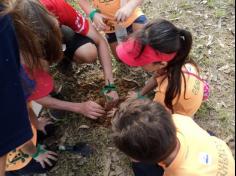 Grupo Pequenos Cientistas – 1º ano D – aprende e se diverte no Espaço Verde