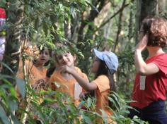 Grupo Pequenos Cientistas – 1º ano D – aprende e se diverte no Espaço Verde