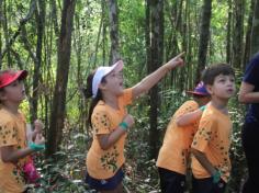 Grupo Pequenos Cientistas – 1º ano D – aprende e se diverte no Espaço Verde