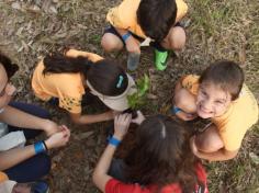 Grupo Pequenos Cientistas – 1º ano D – aprende e se diverte no Espaço Verde