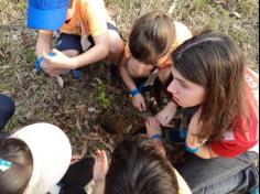 Grupo Pequenos Cientistas – 1º ano D – aprende e se diverte no Espaço Verde