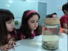 Grupo Felinos visita o Laboratório de Ciências