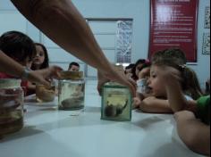 Grupo Felinos visita o Laboratório de Ciências