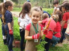 Dia de colher Cenouras no projeto Contraturno!