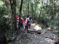 Grupo Felinos explora Espaço Verde