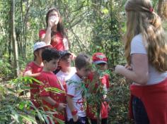 Grupo Unidos do Sale: Cuidadores da natureza