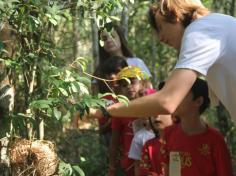 Grupo Unidos do Sale: Cuidadores da natureza