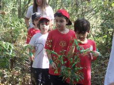 Grupo Unidos do Sale: Cuidadores da natureza