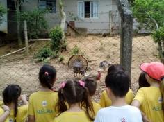 Grupos Alegria, Natureza e Pequenos Cientistas exploram o Espaço Verde