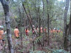 Grupos Alegria, Natureza e Pequenos Cientistas exploram o Espaço Verde