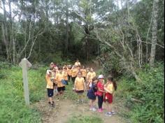 Grupos Alegria, Natureza e Pequenos Cientistas exploram o Espaço Verde