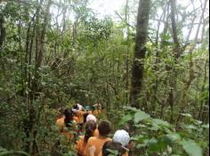 Grupos Alegria, Natureza e Pequenos Cientistas exploram o Espaço Verde